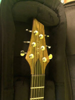 Custom Kiesel Aries 2021