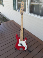Peavey Fury USA