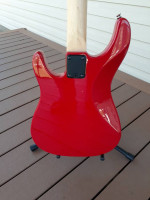 Peavey Fury USA