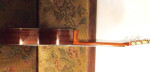 GUITAR ADMIRA "SOLISTA"