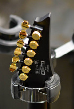 Ibanez RGRT 421