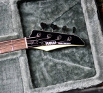 Yamaha RBX800A