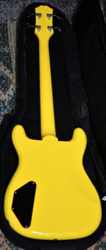 Epiphone Newport