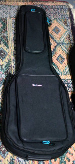 Epiphone Newport
