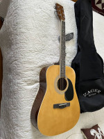 Zager Easy Play Guitar