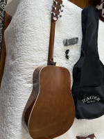 Zager Easy Play Guitar