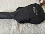 Zager Easy Play Guitar