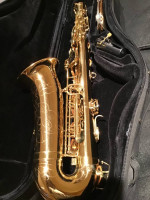 Saxophone alto Lake City 415 New