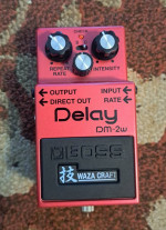 Boss DM -2W Delay Pedal