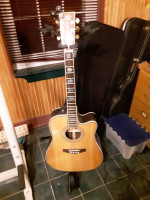 CHARTIN /  MARTIN D45 CUTAWAY ELECTRIC M. I. C.  !!