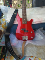 Combo bass and fender amp.