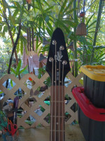 Combo bass and fender amp.