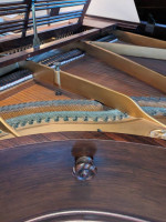 Feurich Grand Piano, 5'6"