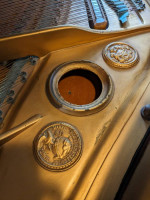 Feurich Grand Piano, 5'6"