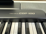 Casio Full Size Portable Piano