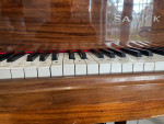 Piano Baby Grand FREE TUNING & WARRANTY!