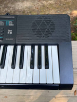 Casio CTK-2300 61-key electronic keyboard with AC adapter