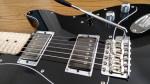 Fender Telecaster Hybrid trem/Slash PUs