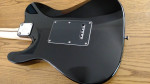 Fender Telecaster Hybrid trem/Slash PUs