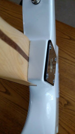 Fender Telecaster Hybrid tremolo strat style