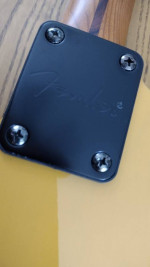 Fender Telecaster butterscotch trans mint
