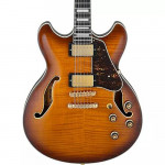 Ibanez AS93FM Wanted