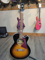 Epiphone Acoustic Guitar~J-200 EC Studio Parlor