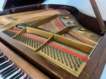 Piano Baby Grand STUNNING Hi-Polish Walnut! WARRANTY & FREE Tuning