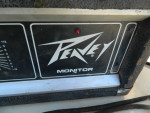 vintage peavey monitor-equalization