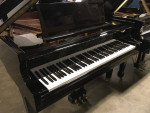 Baby grand piano WITH Player piano System! iPad Controlled upgraded!