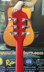 Oscar Schmidt Delta King 335