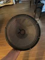 10” Fender speaker from Pro Junior