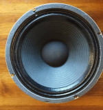 Black Shadow Celestion Guitar Speaker