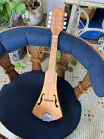 Martin Backpacker Mandolin
