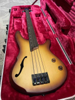Ibanez SRH500F Fretless Bass