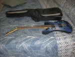 Jackson goth crows reverse headstock guitar with gig bag.