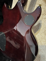 Schecter Classic vine of life guitar