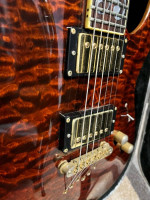 Schecter Classic vine of life guitar