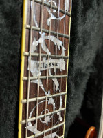 Schecter Classic vine of life guitar