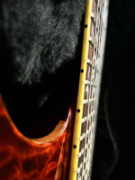 Schecter Classic vine of life guitar