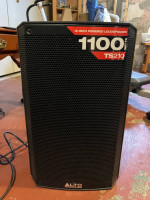 Headrush MX5 and Alto TS210