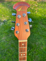 Early 90s Ovation Celebrity