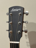 Larivee Parlour acoustic