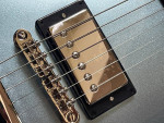 Dave Grohl "Official" DG335 Epiphone