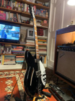 Rickenbacker 360 New 21 fret