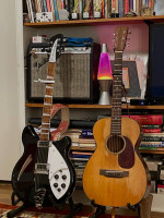 Rickenbacker 360 New 21 fret