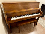 Amazing Yamaha P22 Professional Upright Piano
