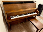 Amazing Yamaha P22 Professional Upright Piano