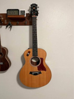 Taylor GS mini Rosewood with ES2 pick-up