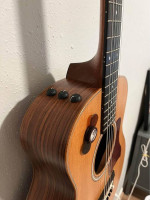 Taylor GS mini Rosewood with ES2 pick-up